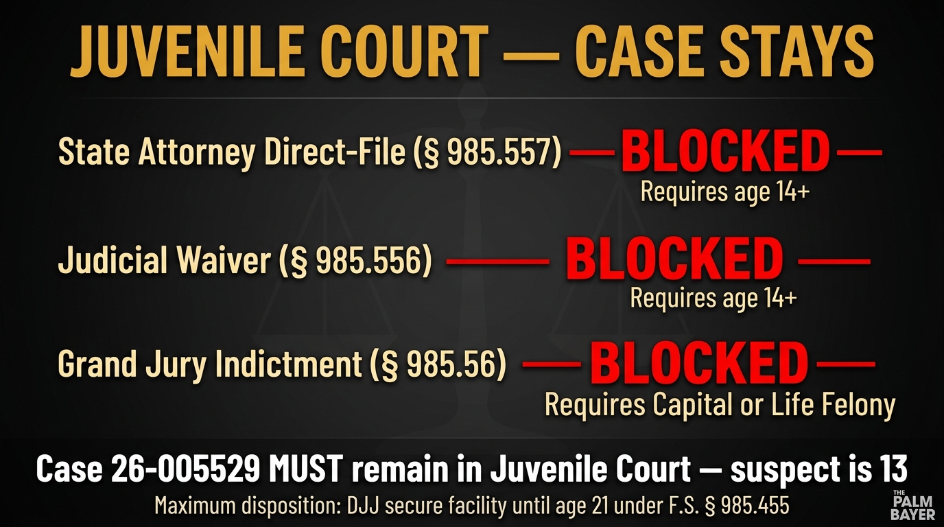 Juvenile Court - Case Stays: All 3 Adult Transfer Mechanisms Blocked